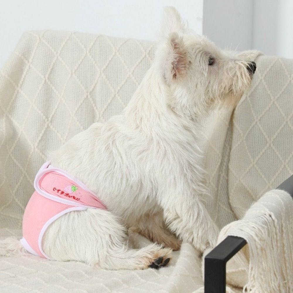 กางเกงอนามัยสัตว์เลี้ยงลายผลไม - Embroidery Underwear บทวิจารณ์และราคา